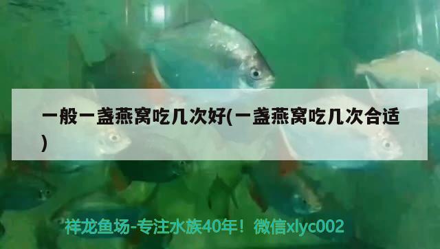 10厘米左右的觀賞魚，血鸚鵡和鸚鵡魚的區(qū)別