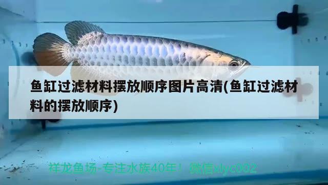 魚缸過濾材料擺放順序圖片高清(魚缸過濾材料的擺放順序) 祥龍魚場(chǎng)