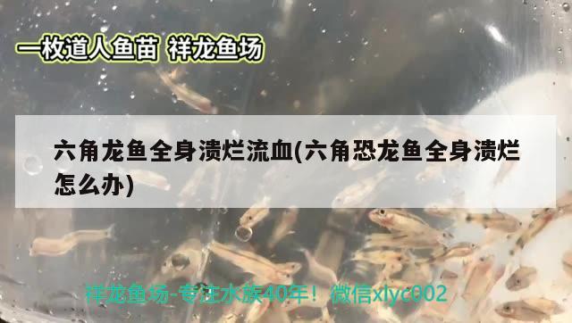 小龍請回家一個半月了買時二千商家說是古典藍(lán)底過背大神們看是嗎？