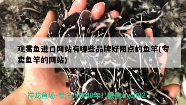 魚缸水族用品燈罩圖片及價(jià)格表（ 魚缸水族用品燈罩圖片及價(jià)格表高清） 泰龐海鰱魚