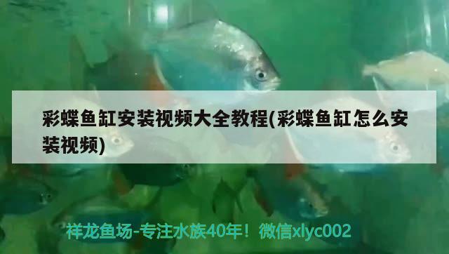 彩蝶魚(yú)缸安裝視頻大全教程(彩蝶魚(yú)缸怎么安裝視頻) PH調(diào)節(jié)劑