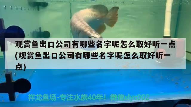 武威水族館今天小不雜的吃飼料大魚啥也吃唯一吃了偶爾臥缸底都不知道怎么養(yǎng)了