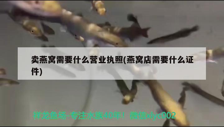 網(wǎng)約車第十四條是什么，什么意思，山西司法考試地點