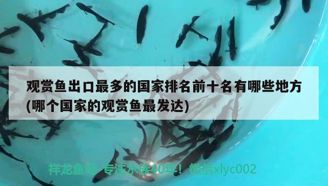 埃及神仙魚(yú)繁殖不提罐可以嗎，埃及神仙魚(yú)繁殖缸多大尺寸好