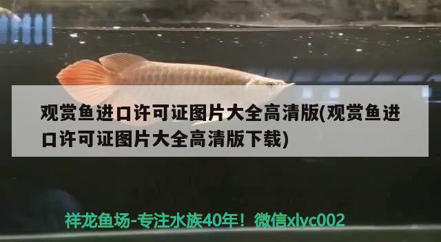 觀賞魚進口許可證圖片大全高清版(觀賞魚進口許可證圖片大全高清版下載) 觀賞魚進出口