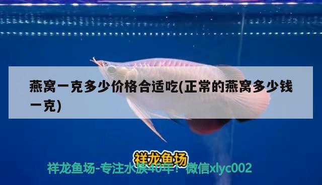 張家口魚(yú)缸生產(chǎn)廠家有哪些廠子招工(張家口市生產(chǎn)魚(yú)缸的廠家)