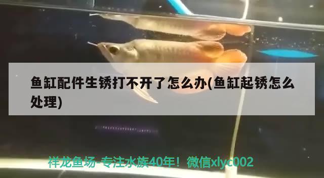 什么牌子的燈具質(zhì)量比較好 水族燈（魚缸燈） 第2張