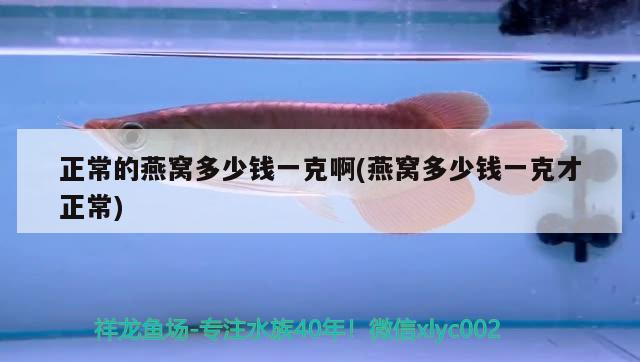 雞西水族批發(fā)市場(chǎng)地址在哪里?。u西花鳥魚市場(chǎng)哪個(gè)大） 定時(shí)器/自控系統(tǒng)