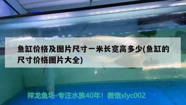 魚缸價格及圖片尺寸一米長寬高多少(魚缸的尺寸價格圖片大全) 祥龍龍魚魚糧