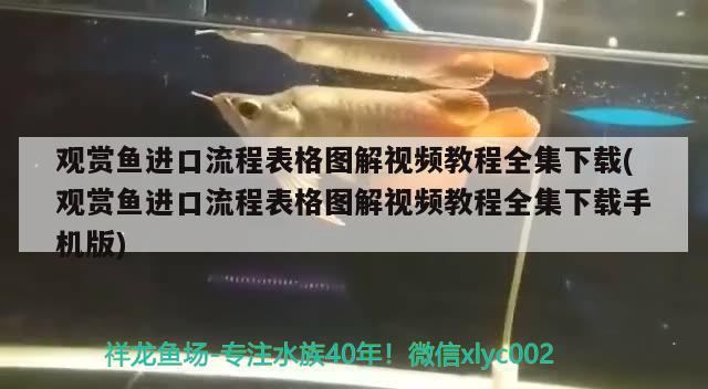 黑尾大勾是冷水魚嗎，魚缸魚品種 觀賞魚 第2張