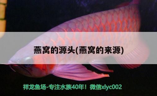 張家口魚缸清洗公司電話多少號(張家口魚缸批發(fā)市場在哪里)