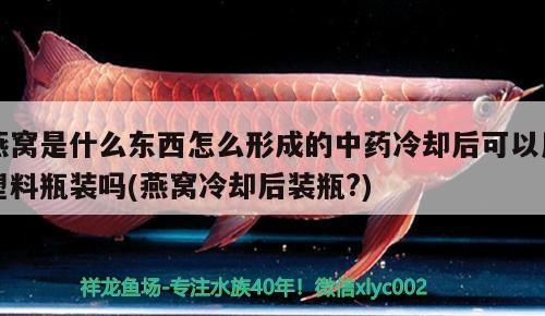 燕窩是什么東西怎么形成的中藥冷卻后可以用塑料瓶裝嗎(燕窩冷卻后裝瓶?) 馬來(lái)西亞燕窩