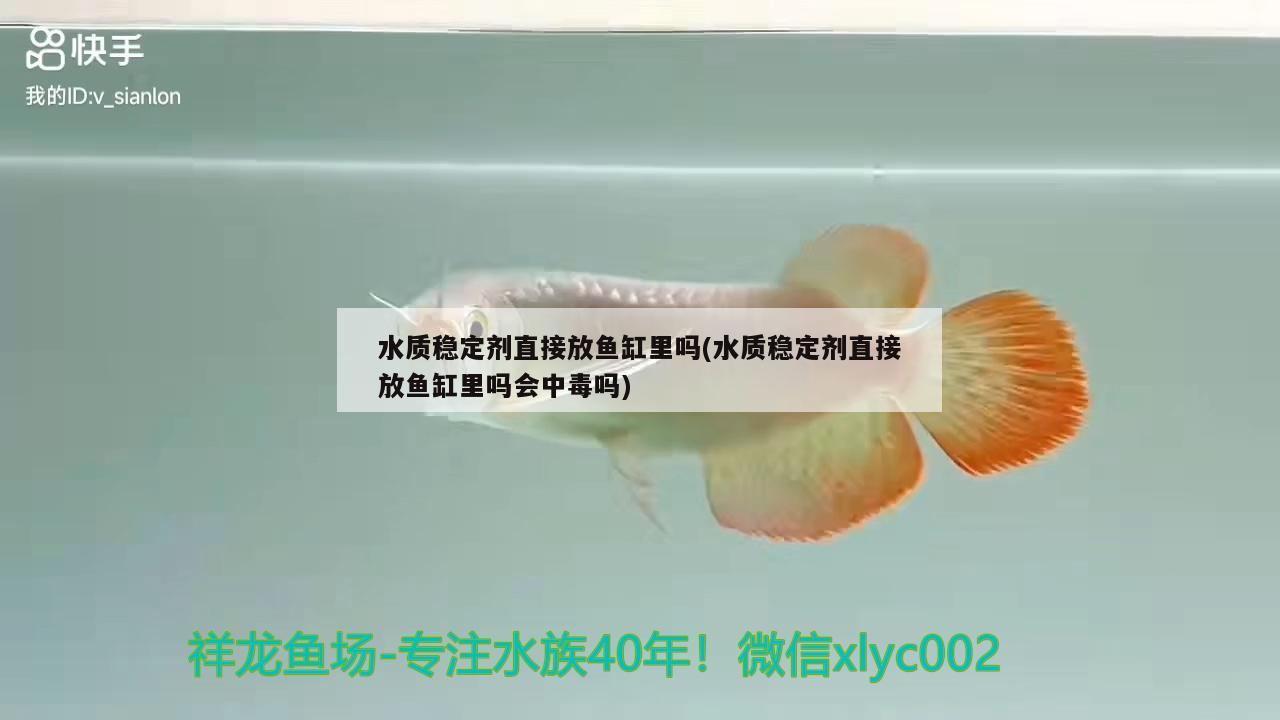 水質穩(wěn)定劑直接放魚缸里嗎(水質穩(wěn)定劑直接放魚缸里嗎會中毒嗎)