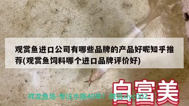 觀賞魚進口公司有哪些品牌的產(chǎn)品好呢知乎推薦(觀賞魚飼料哪個進口品牌評價好)