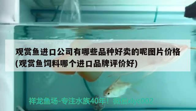 觀賞魚進口公司有哪些品種好賣的呢圖片價格(觀賞魚飼料哪個進口品牌評價好)