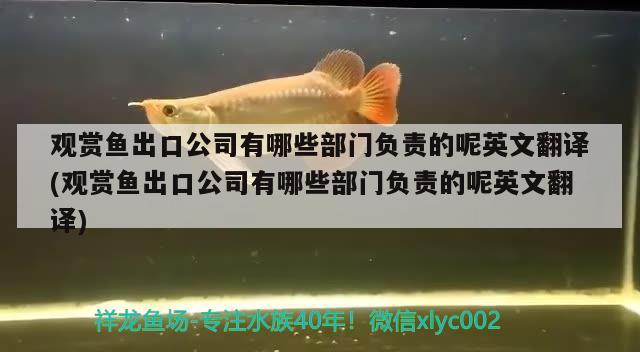 觀賞魚出口公司有哪些部門負(fù)責(zé)的呢英文翻譯(觀賞魚出口公司有哪些部門負(fù)責(zé)的呢英文翻譯) 觀賞魚進(jìn)出口