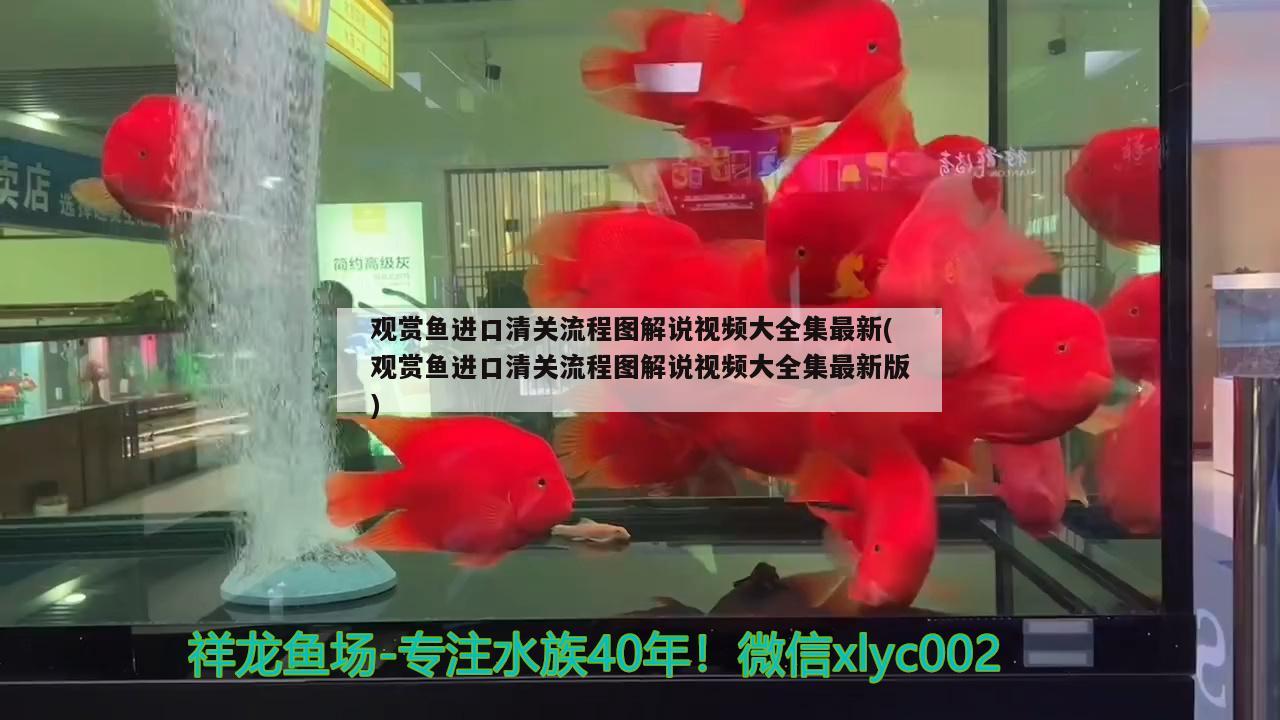 魚缸燈對魚眼睛的傷害大嗎(魚缸紫外線燈對人的眼睛傷害大嗎?)