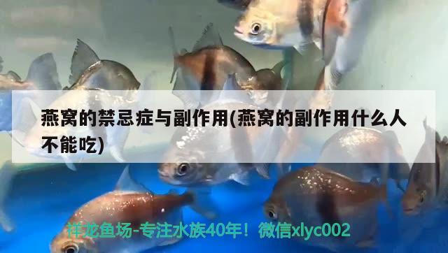 廣東閩江水族魚缸配件廠聯(lián)系電話廣東閩江水族魚缸配件廠的優(yōu)勢，廣東閩江水族魚缸配件廠地址廣東閩江水族魚缸配件廠的優(yōu)勢 殺菌消毒設(shè)備 第1張