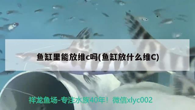 魚缸二手回收平臺有哪些 二手魚缸回收價格 養(yǎng)魚的好處 第3張