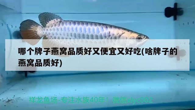 魚缸過濾器怎么自己做視頻教程(魚缸過濾器怎么自己做視頻教程大全) 大白鯊魚苗 第2張