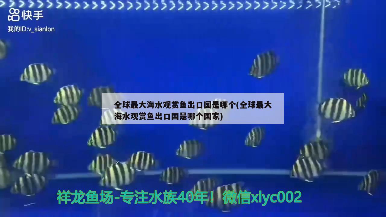 全球最大海水觀賞魚出口國(guó)是哪個(gè)(全球最大海水觀賞魚出口國(guó)是哪個(gè)國(guó)家)