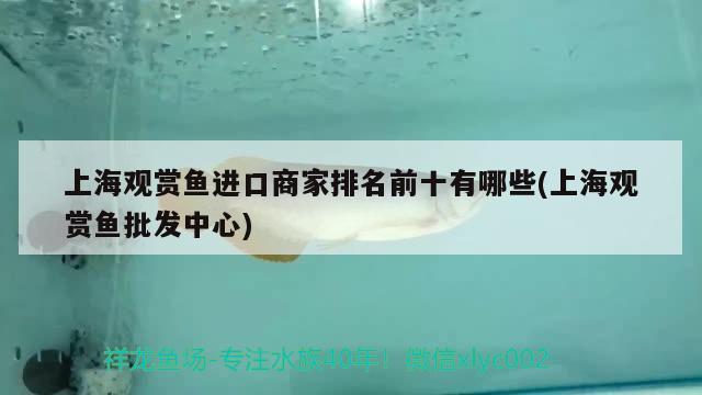 上海觀賞魚進(jìn)口商家排名前十有哪些(上海觀賞魚批發(fā)中心) 觀賞魚進(jìn)出口