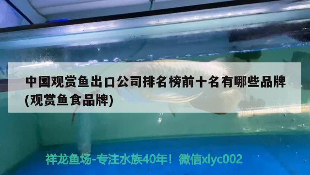 中國觀賞魚出口公司排名榜前十名有哪些品牌(觀賞魚食品牌) 觀賞魚進出口 第2張