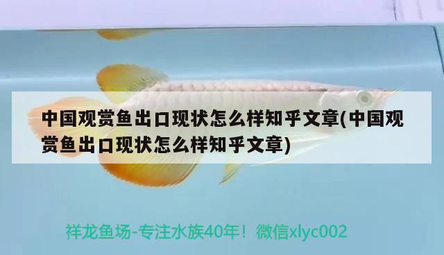 中國(guó)觀賞魚出口現(xiàn)狀怎么樣知乎文章(中國(guó)觀賞魚出口現(xiàn)狀怎么樣知乎文章) 觀賞魚進(jìn)出口