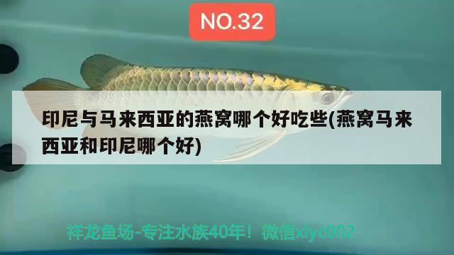 燕窩燉時(shí)間長(zhǎng)變紅色了(燕窩放久了變成紅色還能吃嗎) 馬來(lái)西亞燕窩