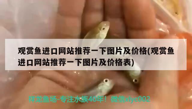 觀賞魚進(jìn)口網(wǎng)站推薦一下圖片及價(jià)格(觀賞魚進(jìn)口網(wǎng)站推薦一下圖片及價(jià)格表)