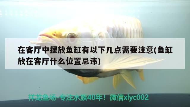 沈陽天王魚缸在哪賣，買魚缸，到貨站取貨發(fā)現(xiàn)已經(jīng)破損，誰來負責(zé) 養(yǎng)魚的好處 第1張