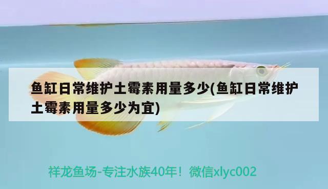 神速 赤荔鳳冠魚 第2張