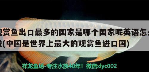 上海荷東衛(wèi)浴公司地址在哪里，上海定制魚缸哪家比較靠譜