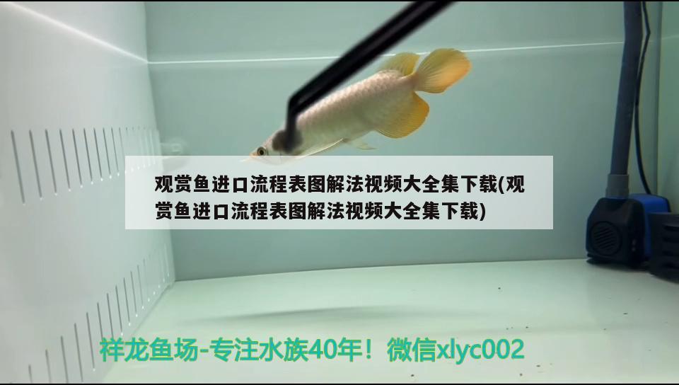 觀賞魚進口流程表圖解法視頻大全集下載(觀賞魚進口流程表圖解法視頻大全集下載) 觀賞魚進出口