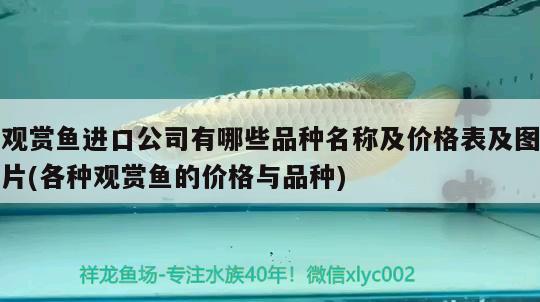 鄭州做魚缸定制加工廠電話多少號(hào) 鄭州做魚缸定制加工廠電話多少號(hào)碼 烏龜 第2張