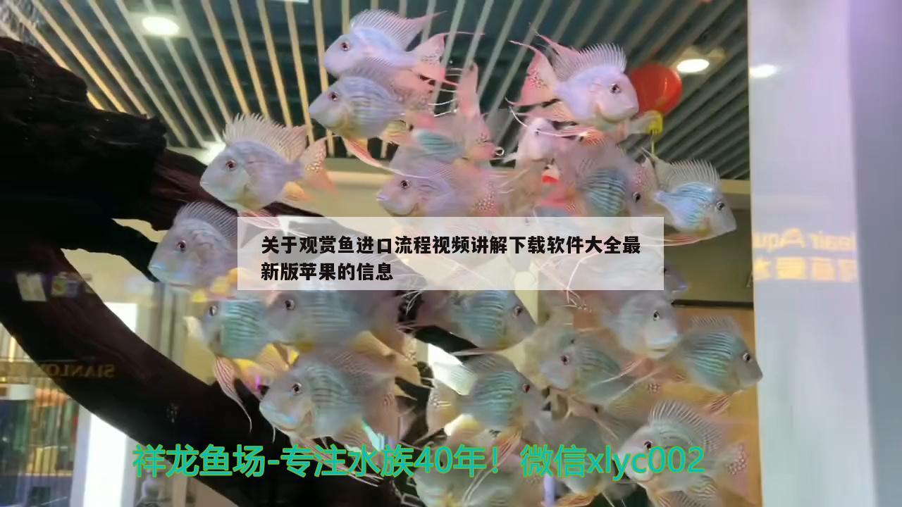 關于觀賞魚進口流程視頻講解下載軟件大全最新版蘋果的信息 觀賞魚進出口 第2張