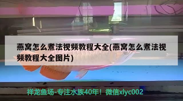 魚缸水為什么綠的很快（養(yǎng)魚水變綠最快方法） 小型觀賞魚 第1張