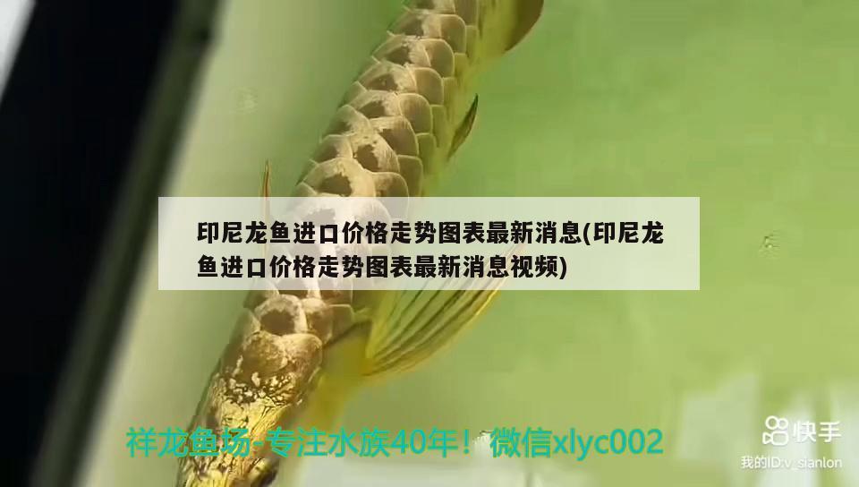 清理完魚缸如何養(yǎng)水藻（清理魚缸后養(yǎng)水多久可以放魚） 九鼎魚缸