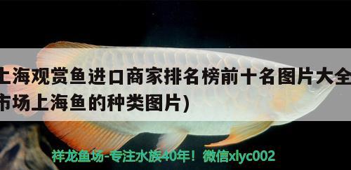 魚缸用不用定期消毒（金魚缸多久消毒一次的正確方法） 魚缸百科 第2張