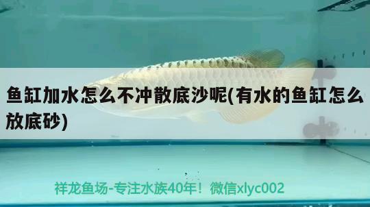 撫順市順城區(qū)權(quán)洲觀賞魚養(yǎng)殖場 全國水族館企業(yè)名錄 第4張