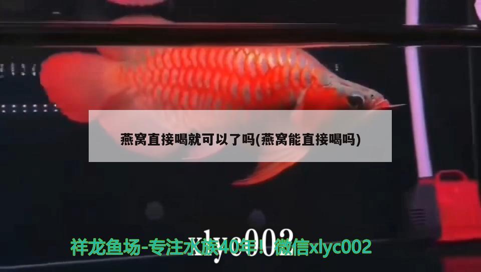 銀板魚和食人魚混養(yǎng)好嗎(銀板魚可以和虎魚混養(yǎng)嗎) 食人魚（水虎） 第3張