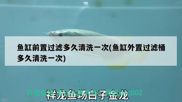 魚缸前置過濾多久清洗一次(魚缸外置過濾桶多久清洗一次) 黃鰭鯧魚