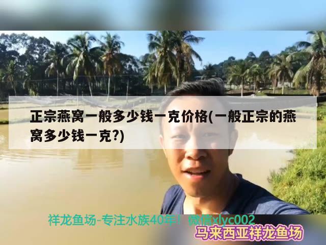 正宗燕窩一般多少錢一克價格(一般正宗的燕窩多少錢一克?) 馬來西亞燕窩