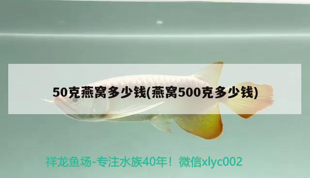 50克燕窩多少錢(燕窩500克多少錢) 馬來西亞燕窩