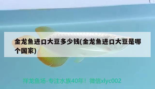 戶縣哪里有賣魚缸的地方啊電話：戶縣哪里有賣魚缸的地方啊電話多少