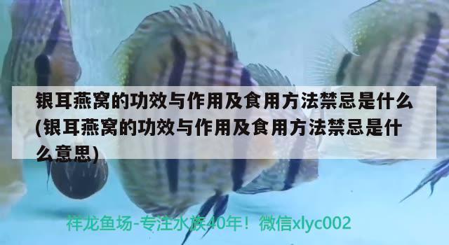 臨渭區(qū)幸運釣友俱樂部漁具總匯 垂釣樂園 第1張