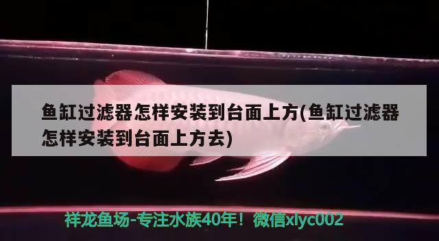 魚(yú)缸過(guò)濾器怎樣安裝到臺(tái)面上方(魚(yú)缸過(guò)濾器怎樣安裝到臺(tái)面上方去) 帝王三間魚(yú)