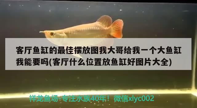 客廳魚(yú)缸的最佳擺放圖我大哥給我一個(gè)大魚(yú)缸我能要嗎(客廳什么位置放魚(yú)缸好圖片大全) 丹頂錦鯉魚(yú) 第2張