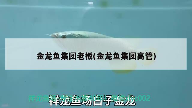 金魚(yú)往魚(yú)缸角呆著是怎回事 金魚(yú)一直往缸邊