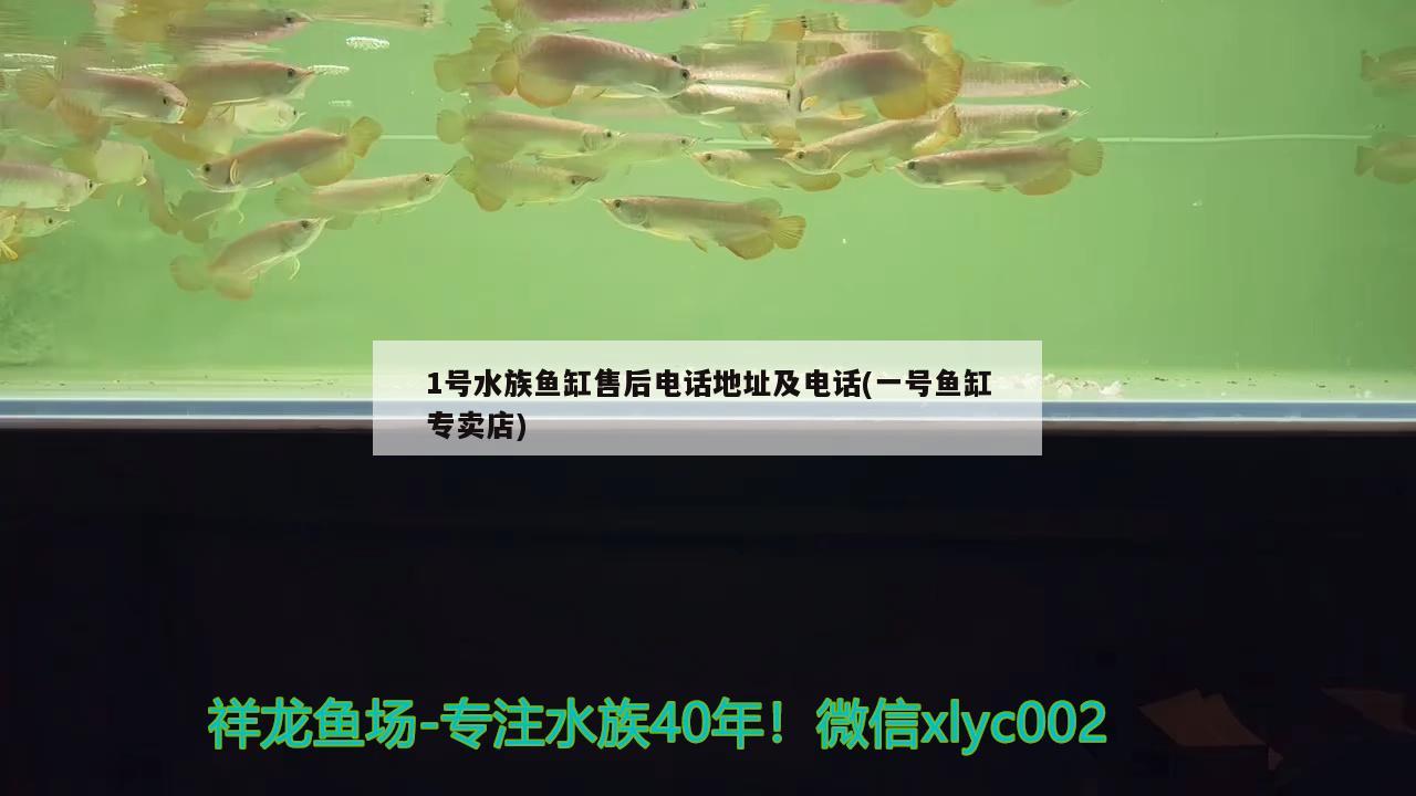 我中毒龍魚(yú)毒大缸2100800800